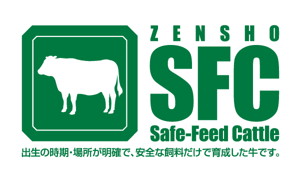 SFC Logo